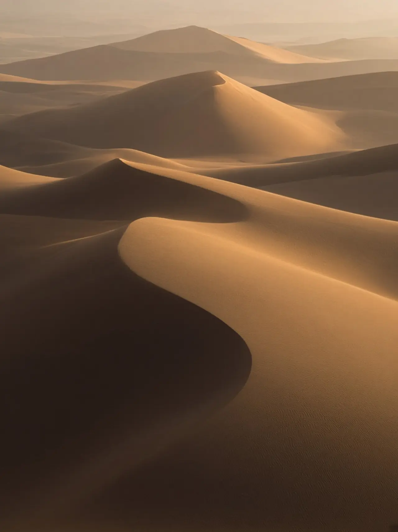 Soft sand dunes at golden hour, long shadows